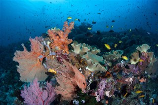 ソロモン諸島