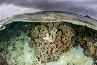 ソロモン諸島