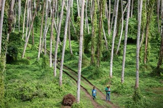 หมู่เกาะโซโลมอน