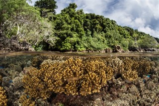 ソロモン諸島