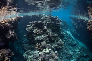 ソロモン諸島