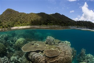 所羅門群島