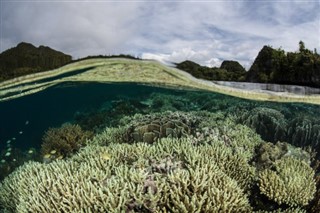 ソロモン諸島