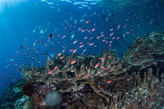 ソロモン諸島