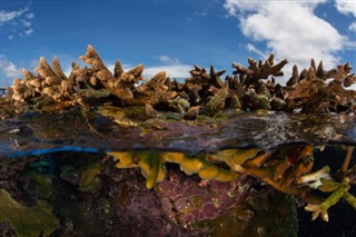 所羅門群島