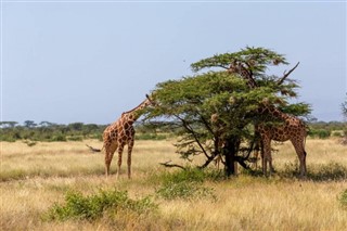 Somalija