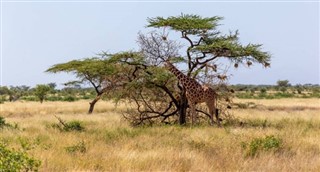 Somalia