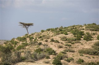 somalia