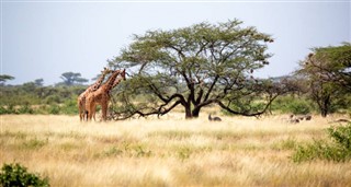 Somalija