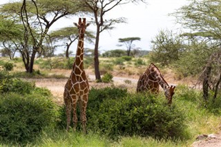 Somalia