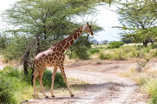 somalia