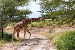 Somalia