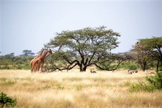 Somalië