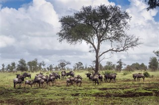 Sør-Afrika