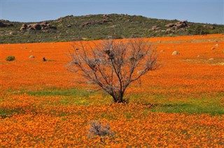 Sør-Afrika