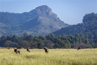 Sør-Afrika