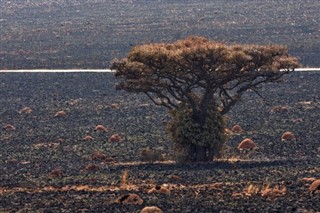 Zuid-Afrika