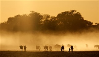 Etelä-Afrikka