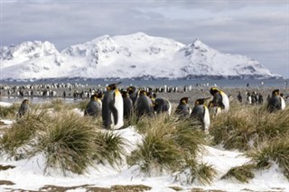 Îles