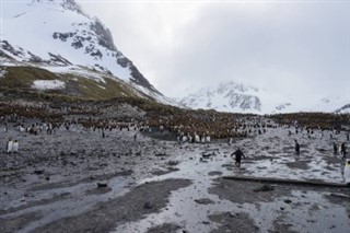 サウスジョージアザ・サウスサンドウィッチ諸島