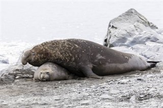 サウスジョージアザ・サウスサンドウィッチ諸島