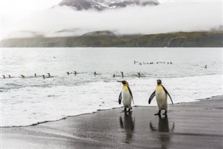 サウスジョージアザ・サウスサンドウィッチ諸島