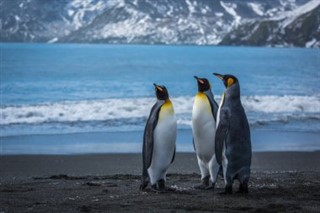 サウスジョージアザ・サウスサンドウィッチ諸島