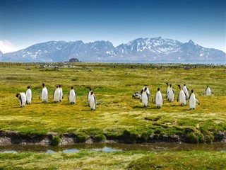 サウスジョージアザ・サウスサンドウィッチ諸島