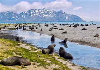 サウスジョージアザ・サウスサンドウィッチ諸島