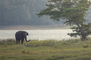 இலங்கை