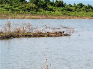 শ্রীলংকা