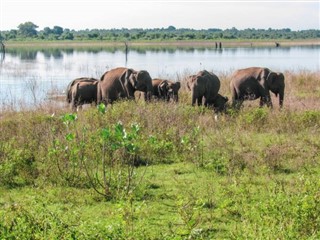 Šrilanka