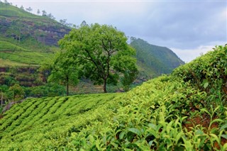 শ্রীলংকা