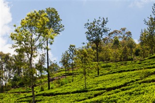 শ্রীলংকা