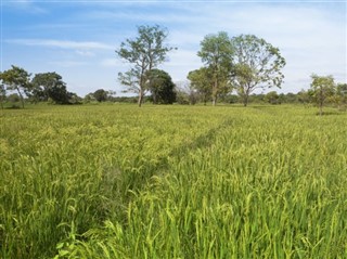 Šrilanka