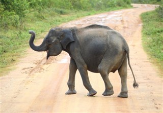 শ্রীলংকা