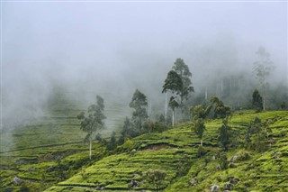 শ্রীলংকা