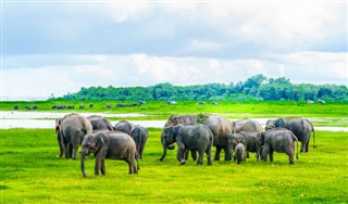 শ্রীলংকা