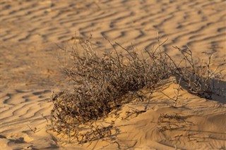 Sudan