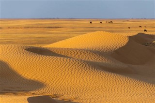 sudan