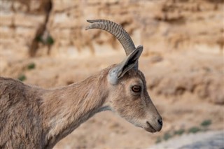 Sudan