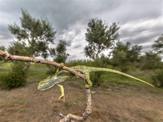 судан