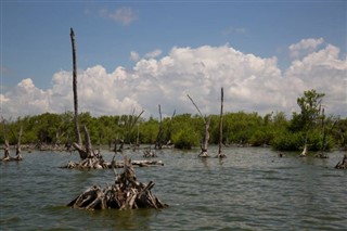 সুরিনাম