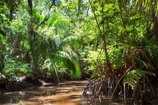 সুরিনাম