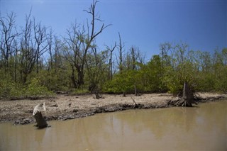 সুরিনাম