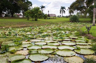 Suriname