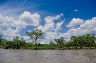 সুরিনাম