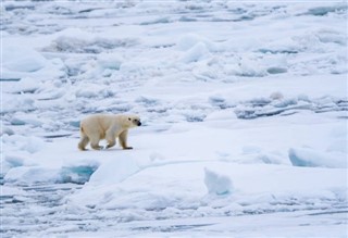 svalbard