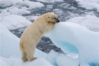 Svalbard