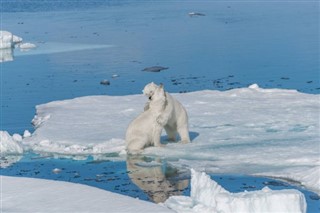 Svalbard